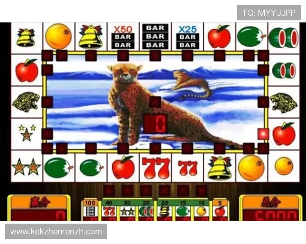 老虎机揭秘大公开：深入分析老虎机的运作原理与概率机制