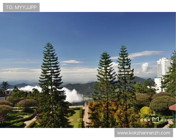 马来西亚云顶世界英文客服支持：快速解决问题的实用技巧与联系方式