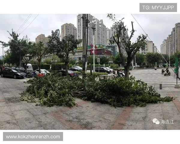 三株路打法的最新发展趋势与未来优化方向全面解析