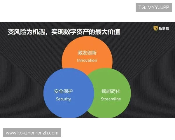 DG视讯官网的技术支持与安全保障体系详解保障玩家资金与信息安全
